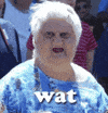 wat meme GIF